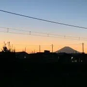 みーみの画像