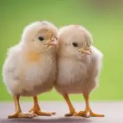 ぴよ☆プロフィールお読みください☆の画像