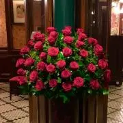 Merciの画像