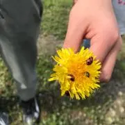 yuuuの画像