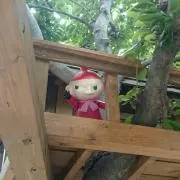 アラナ