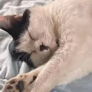 KKKの画像
