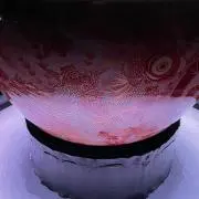 きろろんの画像