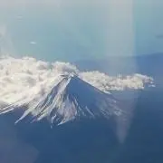 さかなの画像