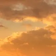 mimiの画像