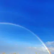 ぴぴ