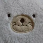 藻琴の画像