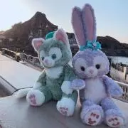 まりもの画像