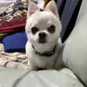 岩田風太の画像
