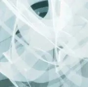 Disk