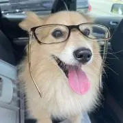 おやっぴー