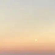 ろっぴの画像