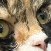 りょーすけ