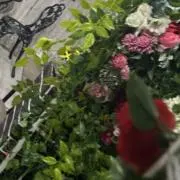 凛【プロフ必読】の画像
