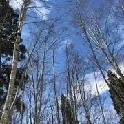 norikoの画像