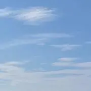mmの画像