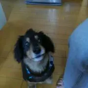 ばんち　☆プロフ見て頂けると嬉しいです☆の画像