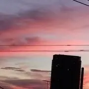ぴよ【プロフ必読】