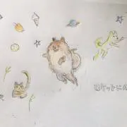 PINO COLLECTIONの画像