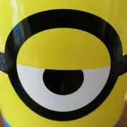 ゆの画像