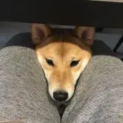 りり【1.2日発送】の画像