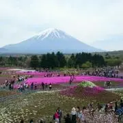 あか