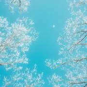 mimoleの画像