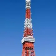 MYの画像