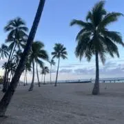 Rの画像