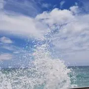 ぬーんの画像