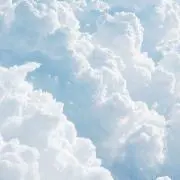 ルル
