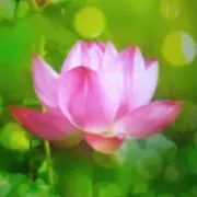 美月の画像