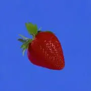 ターの画像