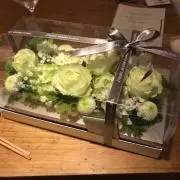 ななの画像