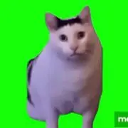 ウルパ