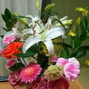 はな