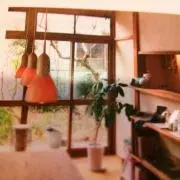 midoriippaiの画像