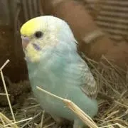 ゆりちゃんの画像