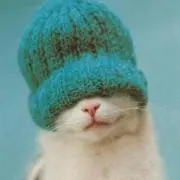 ぴーの画像