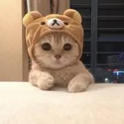 ゆう