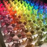 キャメロンの画像
