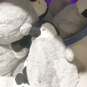 おぺん