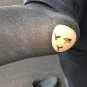 みどりむしの画像