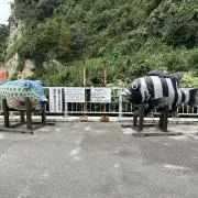 飛蚊症