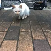 めるめるめるめ
