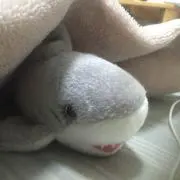モリマ プロフィールの熟読をお願いします
