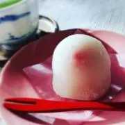 ワカヤマの画像