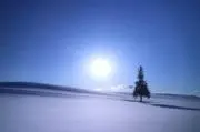 れんの画像
