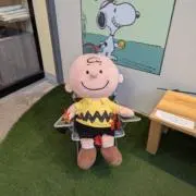 Miiの画像