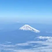 すー(挨拶不要)の画像